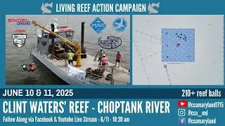 Clint Waters' Reef Deployment