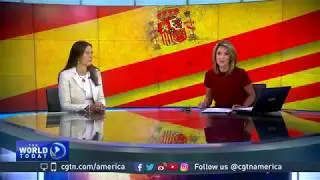 Federiga Bindi interview
