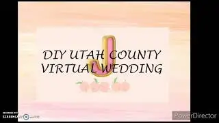 DIY UTAH ONLINE WEDDING