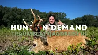TRAUMBLATTJAGDREISE III - Teil 3 🇵🇱 von @Hunterfieber
