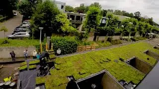 65 groene daken in Kattenbosch