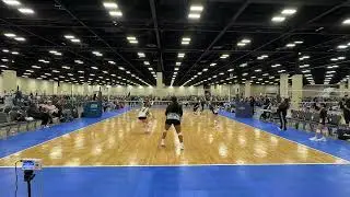 Alamo 14 Black vs TAPV 14 Elite | Countdown Classic 