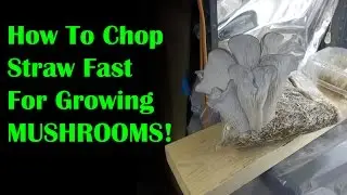 How To Chop Straw Fast For Growing Gourmet Mushrooms And Testing New Substrates