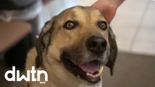 How Bentonville Got a Bark Park