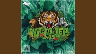 Wildlife 2019