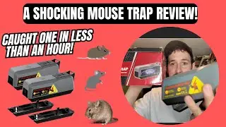 They Work! 2-Pack Electric Mouse Traps  - Quick & Humane Pest Control Review