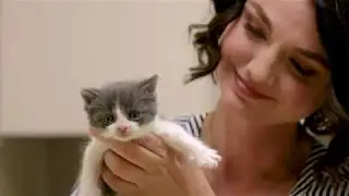 Michigan Humane Kitten Project