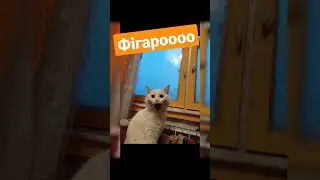 непревзойденный, неповторимый и восхитителен #music #figaro
