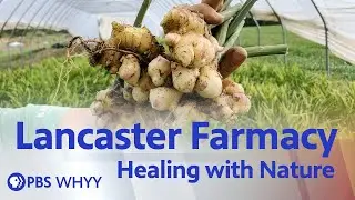 Lancaster Farmacy: Healing with Nature - Movers & Makers (2021)