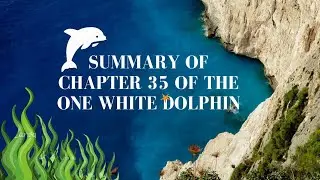 Summary Of Chapter 35 Of The One White Dolphin By Zoha Hamad