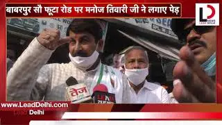 बाबरपुर सौ फूटा रोड पर मनोज तिवारी जी ने लगाए पेड़ | Lead Delhi | Manoj Tiwari | Tree Plantation