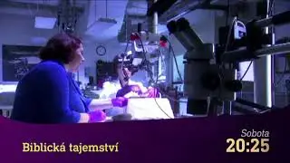 Konspiračn&iacute; teorie & Biblick&aacute; tajemstv&iacute; (22.2.2020 na CS MYSTERY)