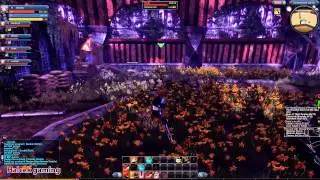 RaiderZ [ NA Alpha Test ] - Contaminated Garden 1080p