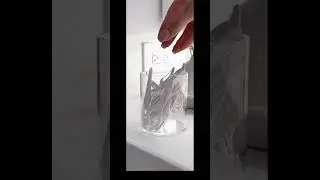 #like👍 #subscribe🤝 #coolasmr🧊🧊 #promote 💢