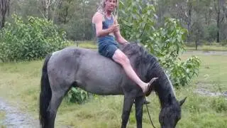 STOP HORSE RAGE - Shocking story of a girl chased on horse-back by a VEHICLE !!
