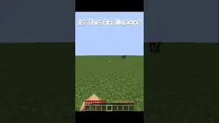 Is This an Illusion or Minecraft Glitch?! 😳