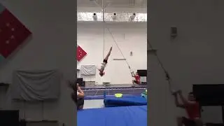 How do divers train their somersaults? 🤔🔥
