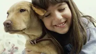 As animal shelters fill up, new technology helps reunite lost pets with owners
