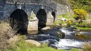 The Beauty of Dartmoor