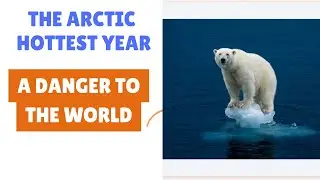 The Arctic hottest year, A danger to The world #arctic #icemelting
