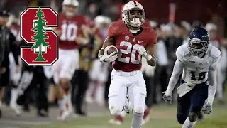 &ldquo;Rockstar&rdquo; Bryce Love Stanford Highlights