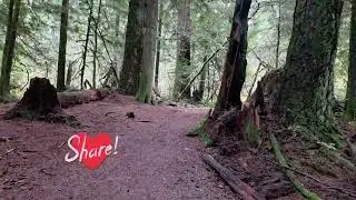 Exploring Mandy Park, Vancouver: The Journey Continues (Part 3) 🍁🍃🇨🇦