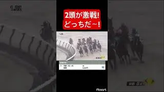 [A Close Race] Two horses were in a fierce battle when we were betting on a single win! #HorseRacing