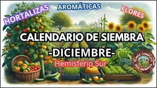 🌱 Qué sembrar en diciembre (Hemisferio Sur) | Guía completa para tu huerta de verano!