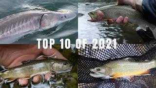 Top Fishing Moments 2021