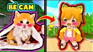 PHONG CẬN BẤT NGỜ KHI BÉ CAM XUẤT HIỆN TRONG LÀNG HERO TEAM ❤ MÈO CON ĐÁNG YÊU CỦA SAMMY MINI WORLD