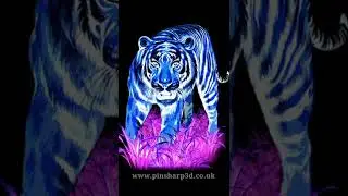 Movillusion 3: Tiger Colour Reversal Illusion