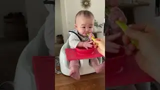 6 month old baby trying buttery, creamy, and earthy taste for the first time 🥑 🥑
