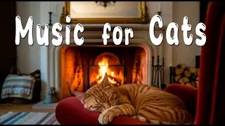 😻Sleep Music for Cat 🐈 Calming Cats Music for Relax, Chill, Antistress