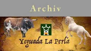 15 ANIVERSARIO YEGUADA LA PERLA - EXHIBICION CABALLOS LUSITANOS
