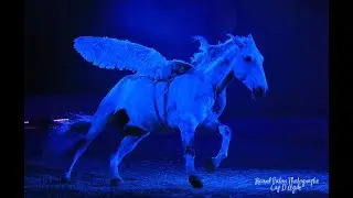 xxxx Cheval Passion 1 xxxx