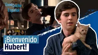 Shaun y Lea tienen una nueva mascota | Capítulo 7 | Temporada 2 | The Good Doctor en Español