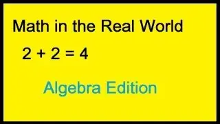 Math in the Real World