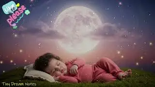 Calm Dreams Lullabies | Baby Music for Bright Futures