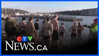 Some brave swimmers are getting ready for a polar plunge