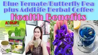 BLUE TERNATE / BUTTERFLY PEA WITH ADDLIFE HERBAL COFFEE  & HEALTH BENEFITS | STELLA JUINIO