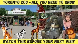 Toronto Zoo Tour 4k | 2022 | Kids Zoo | Canada | Everything you need to know | Splash Island