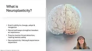 Rewiring Safety: Brain Plasticity, Sexual Trauma and Intimacy