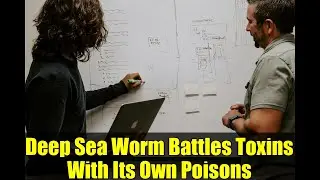 Deep Sea Worm Battles Toxins With Its Own Poisons