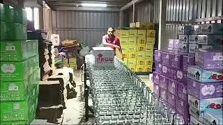 Flexible Skate Wheel Conveyor With Side Guide Rollers
