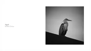Koshun Nakao - Signal (Official Audio)