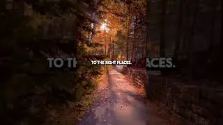 The right path #risewithin #quote #takebackcontrol