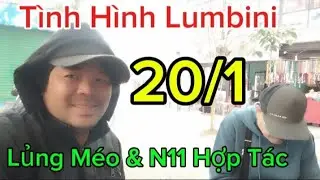 20/1 Lủng Méo Cùng N11 Hợp Tác