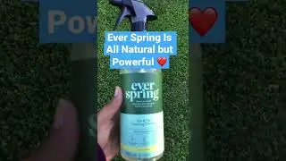 #shorts Ever 🧽 Spring Products are All Natural Yet Powerful 💪🏽 Go Get You Some YEAHRRR!! 😘