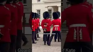 Guard faints in front of Kate #royal