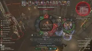 Baldur's Gate 3 - Gloomstalker Assassin Fighter MADNESS